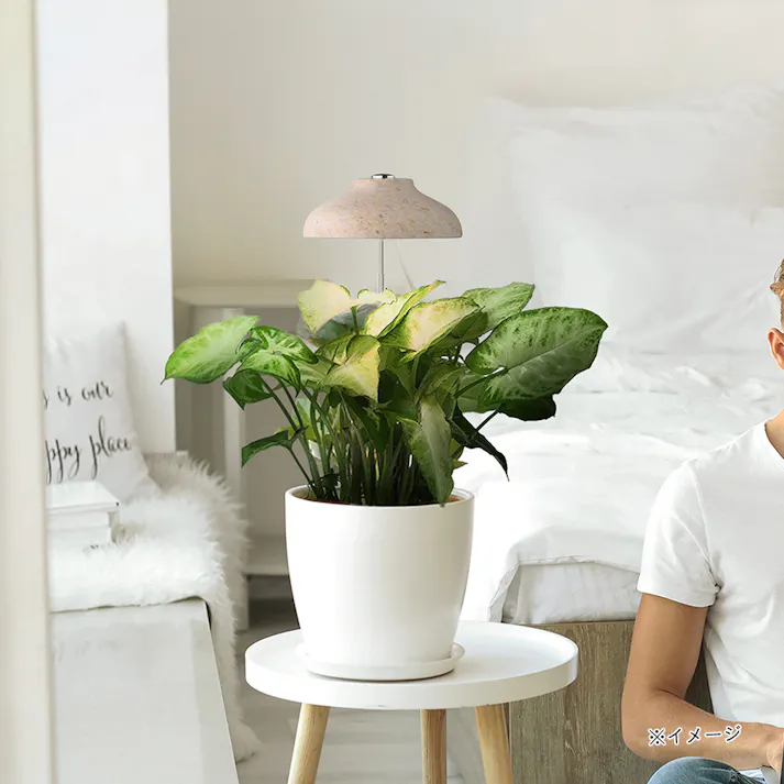 植物育成ライト カインズ